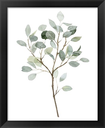Framed Seaglass Eucalyptus II Print