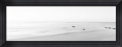 Framed Black &amp; White Water Panel II Print