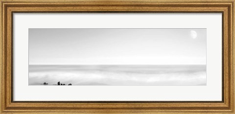 Framed Black &amp; White Water Panel XIV Print