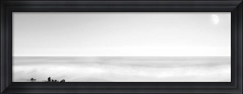 Framed Black &amp; White Water Panel XIV Print
