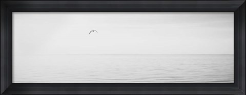 Framed Black &amp; White Water Panel XVI Print