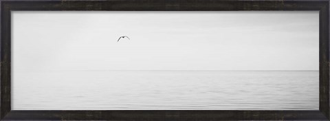 Framed Black &amp; White Water Panel XVI Print
