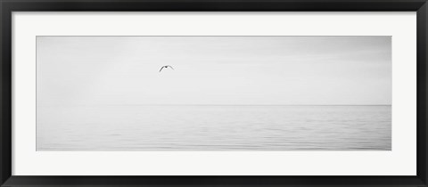 Framed Black &amp; White Water Panel XVI Print