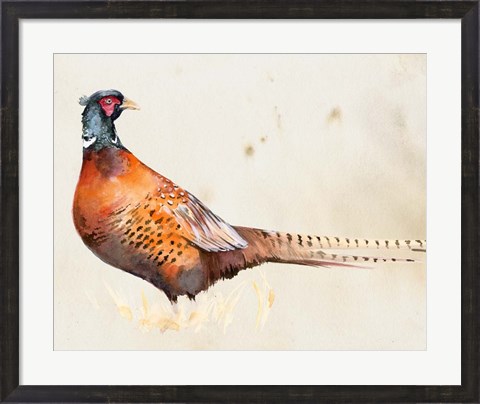 Framed Pheasantry II Print