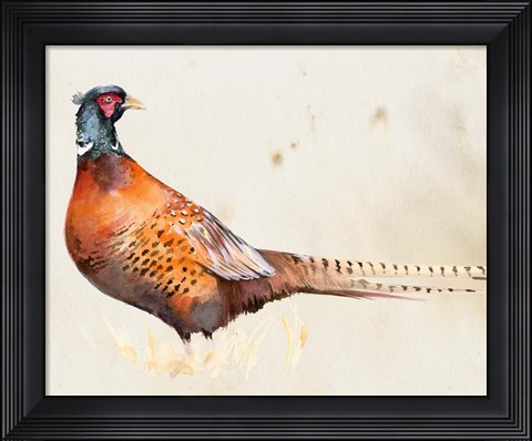 Framed Pheasantry II Print