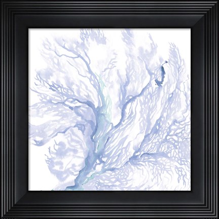 Framed Navy Sea Fan II Print