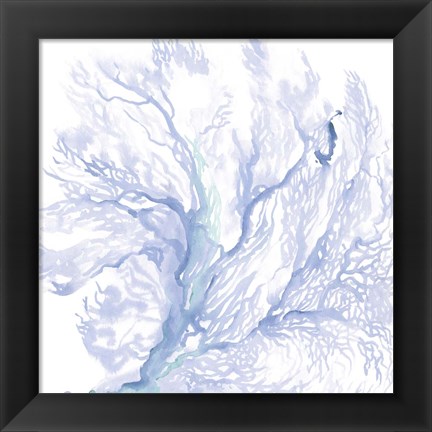Framed Navy Sea Fan II Print