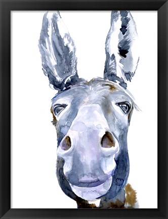 Framed Sweet Donkey I Print