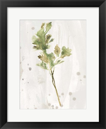 Framed Antique Earthtone Herbs I Print