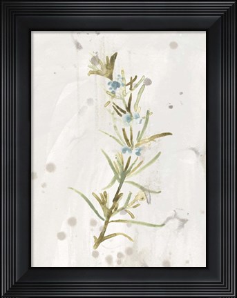 Framed Antique Earthtone Herbs III Print