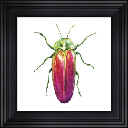 Framed Buggin Out II Print