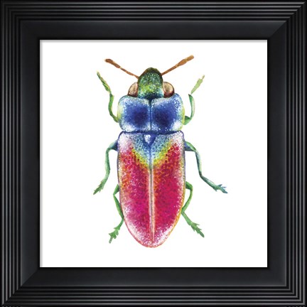 Framed Buggin Out III Print