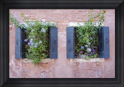 Framed Italian Window Flowers II Print