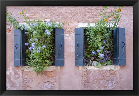 Framed Italian Window Flowers II Print