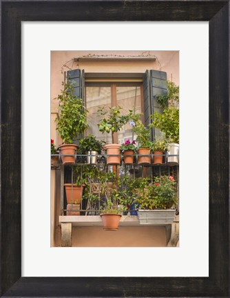 Framed Italian Window Flowers III Print