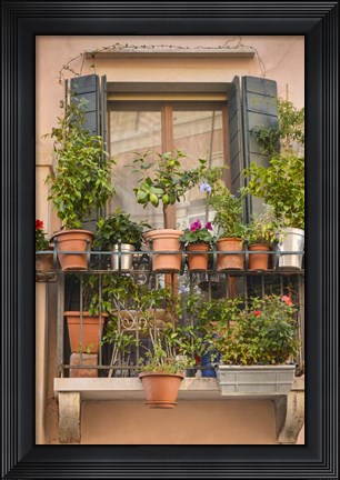 Framed Italian Window Flowers III Print