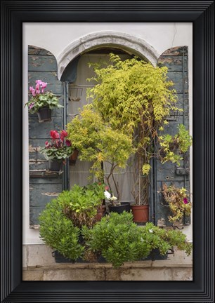 Framed Italian Window Flowers IV Print