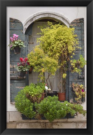 Framed Italian Window Flowers IV Print