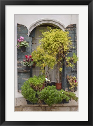 Framed Italian Window Flowers IV Print