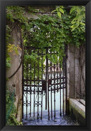 Framed Elegant Canal Entrance Print