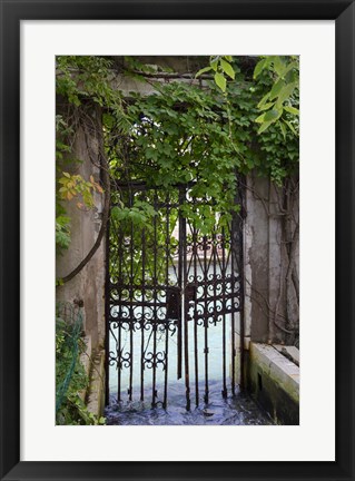 Framed Elegant Canal Entrance Print