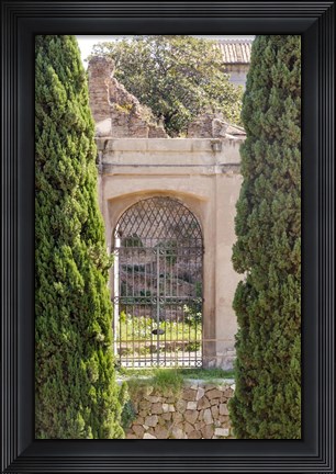 Framed Rome Landscape IV Print