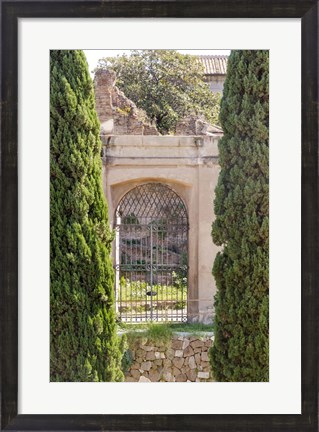 Framed Rome Landscape IV Print