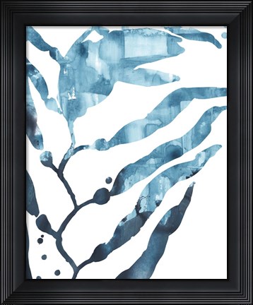 Framed Inkwash Kelp I Print