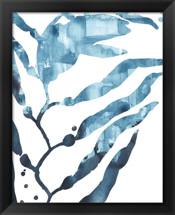 Framed Inkwash Kelp I Print