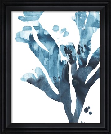 Framed Inkwash Kelp II Print