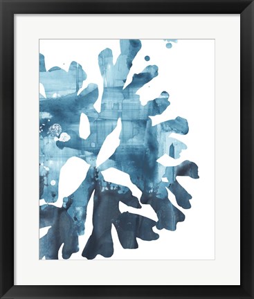 Framed Inkwash Kelp III Print