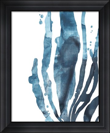 Framed Inkwash Kelp IV Print