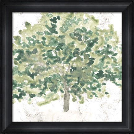 Framed Country Tree III Print