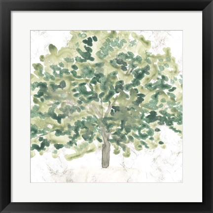 Framed Country Tree III Print