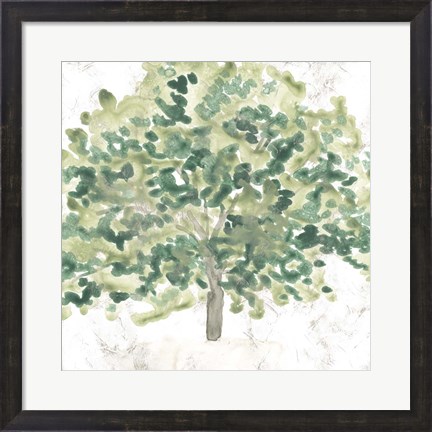 Framed Country Tree III Print