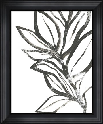 Framed Leaf Instinct II Print