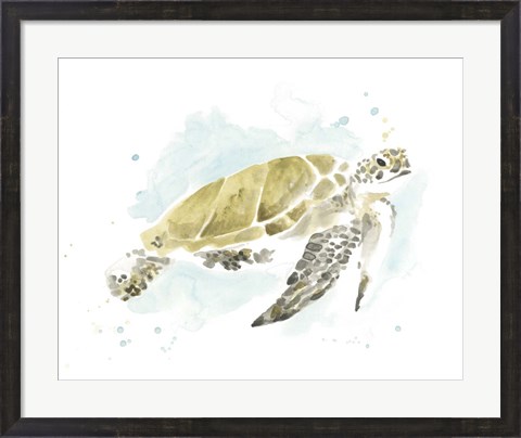 Framed Watercolor Sea Turtle Study I Print