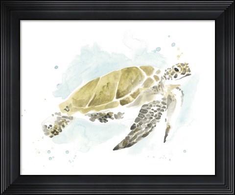 Framed Watercolor Sea Turtle Study I Print