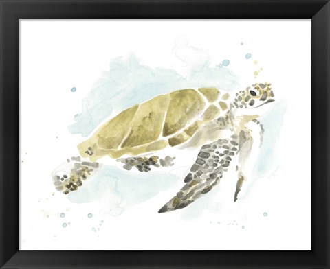 Framed Watercolor Sea Turtle Study I Print