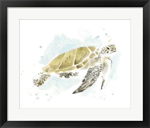 Framed Watercolor Sea Turtle Study I Print