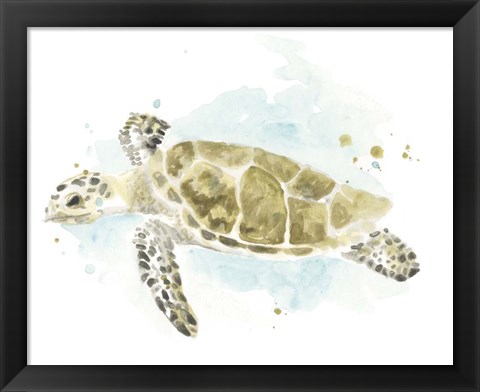 Framed Watercolor Sea Turtle Study II Print