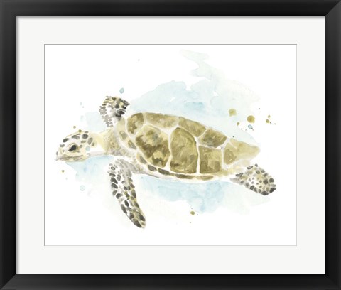 Framed Watercolor Sea Turtle Study II Print