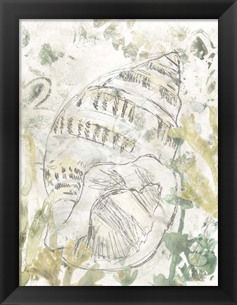 Framed Verdant Shell Fresco III Print