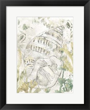 Framed Verdant Shell Fresco III Print