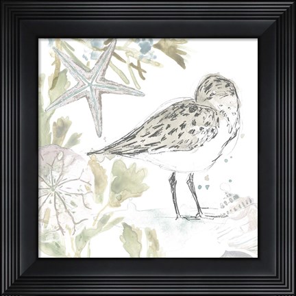 Framed Seaside Sandpipers I Print