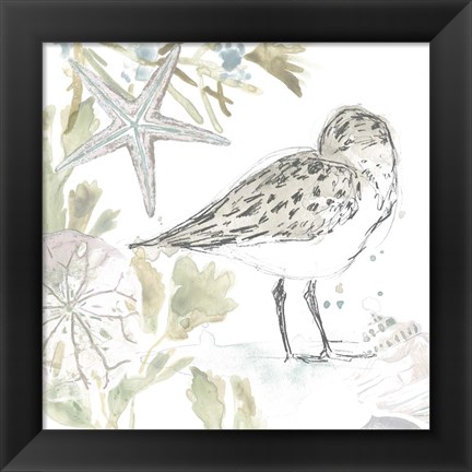 Framed Seaside Sandpipers I Print