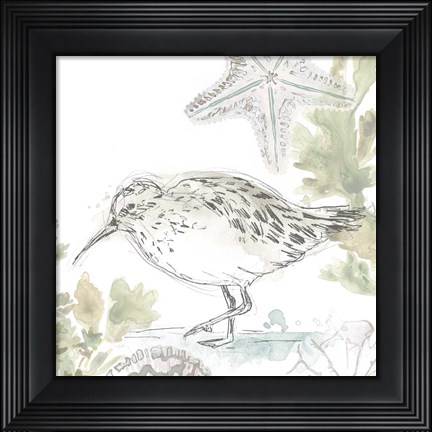 Framed Seaside Sandpipers II Print