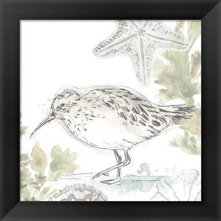 Framed Seaside Sandpipers II Print