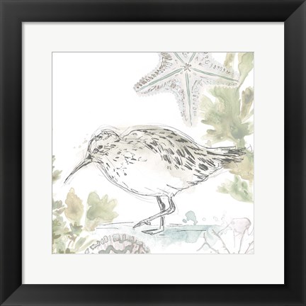 Framed Seaside Sandpipers II Print