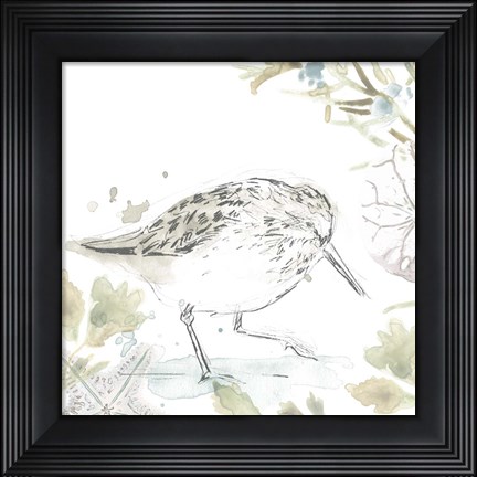 Framed Seaside Sandpipers III Print